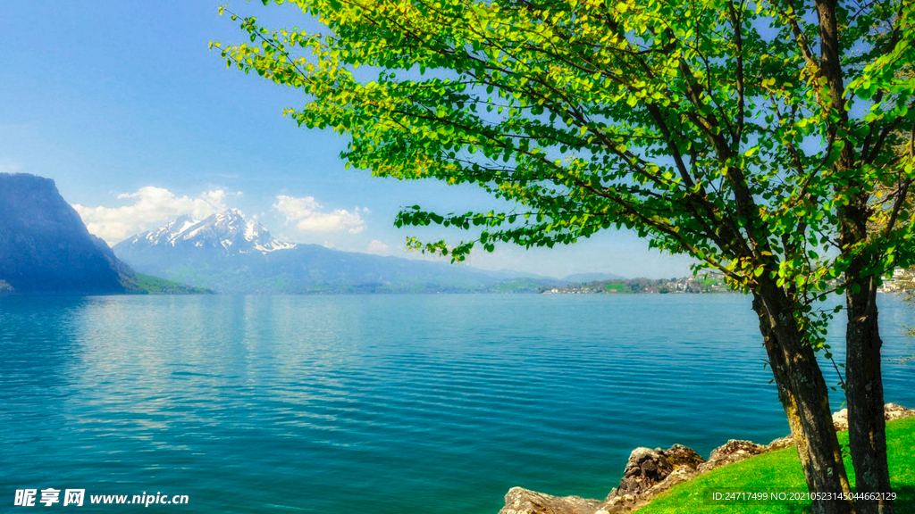 河边风景