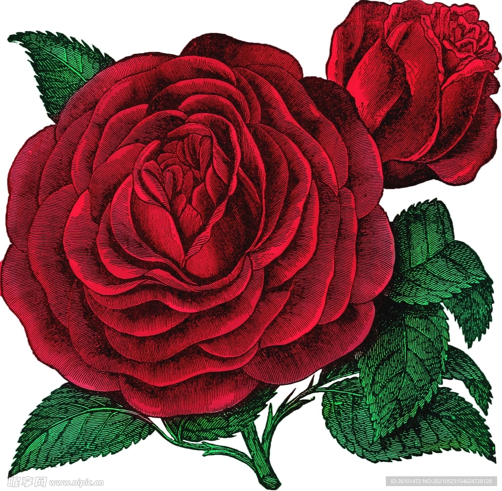 花