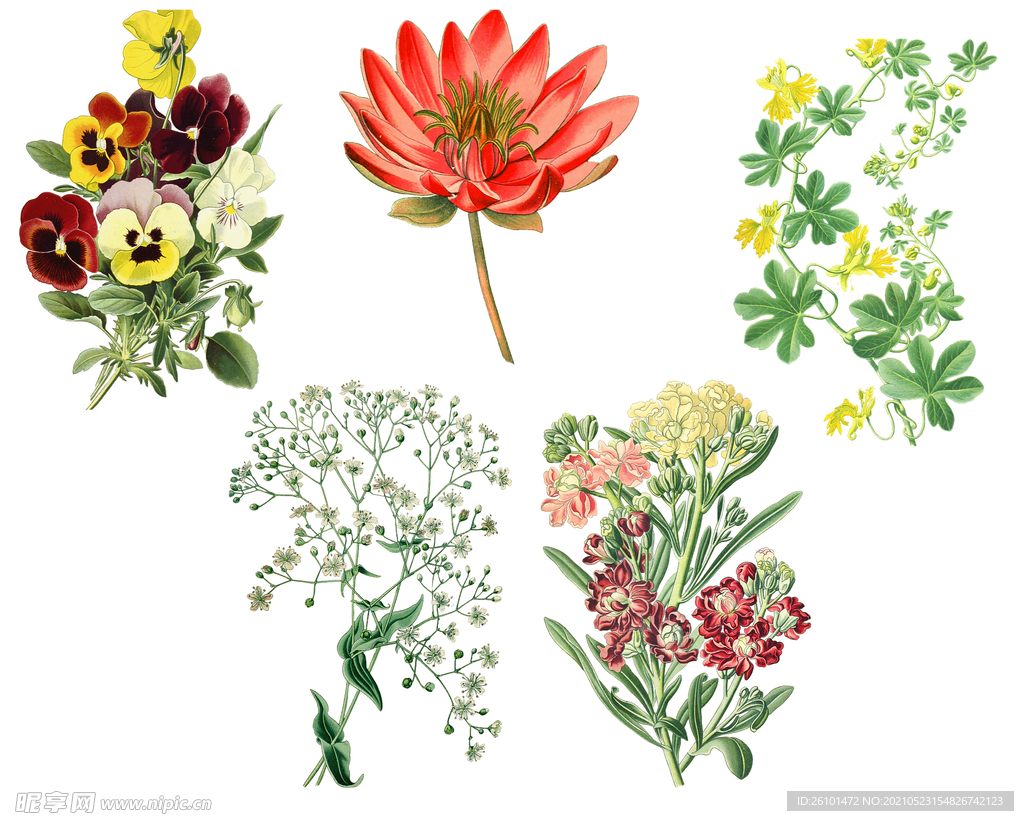 花