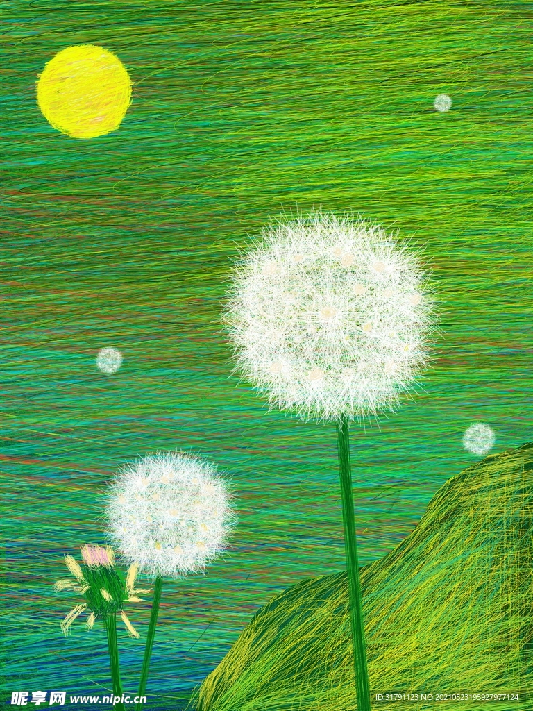 蒲公英插画