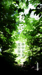 夏至