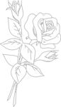 玫瑰花线稿
