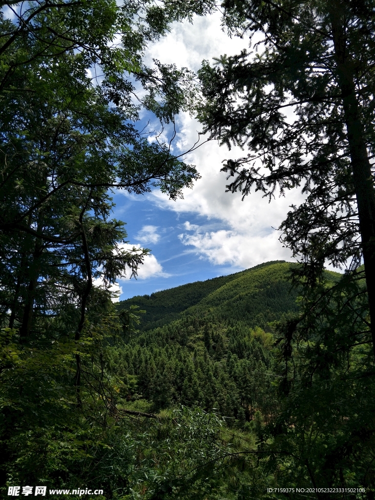 远眺青山