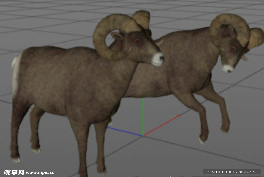 C4D模型山羊动物写实