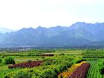 壮丽的大山风景