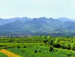 美丽的大山风景