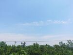 夏日晴空蓝天白云电线森林