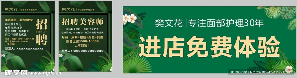 樊文花招聘