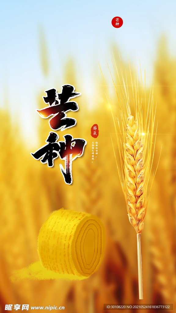芒种 节气海报