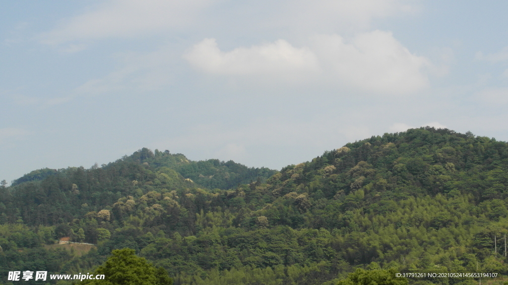 山