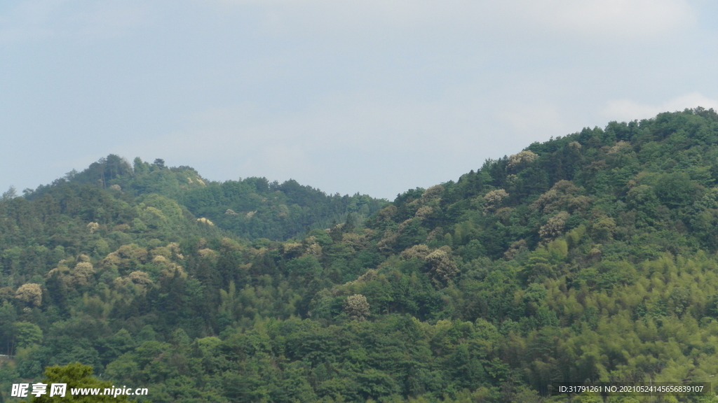 山