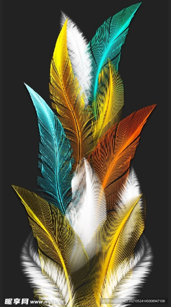 羽毛