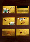 金卡VIP会员卡