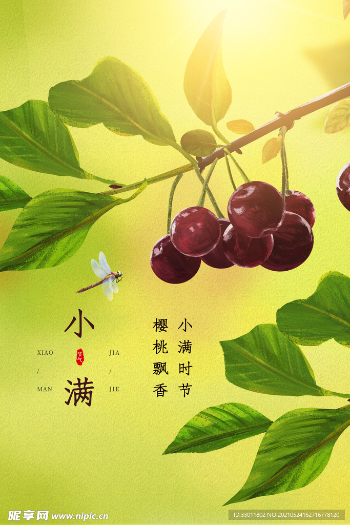 小满节气传统活动宣传海报素材