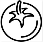 番茄