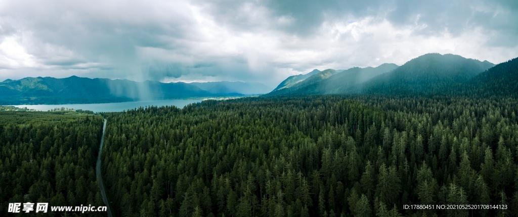 山林