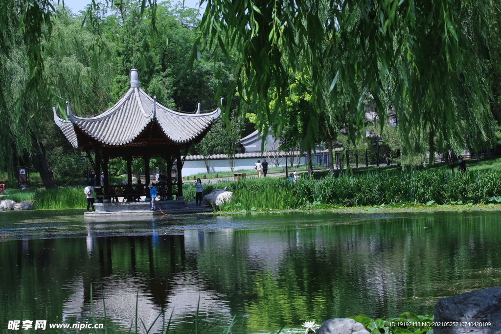 园林风景 