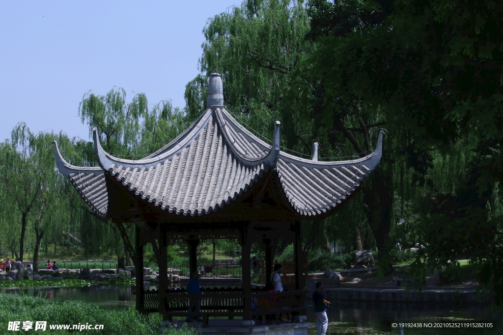 园林风景