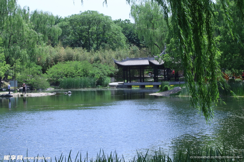 园林风景
