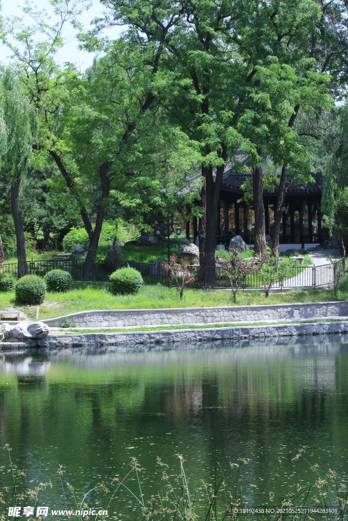 园林风景 