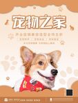 宠物店海报