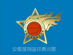 安徽雏翔篮球青训营logo