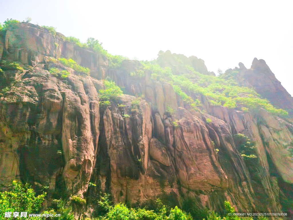 山