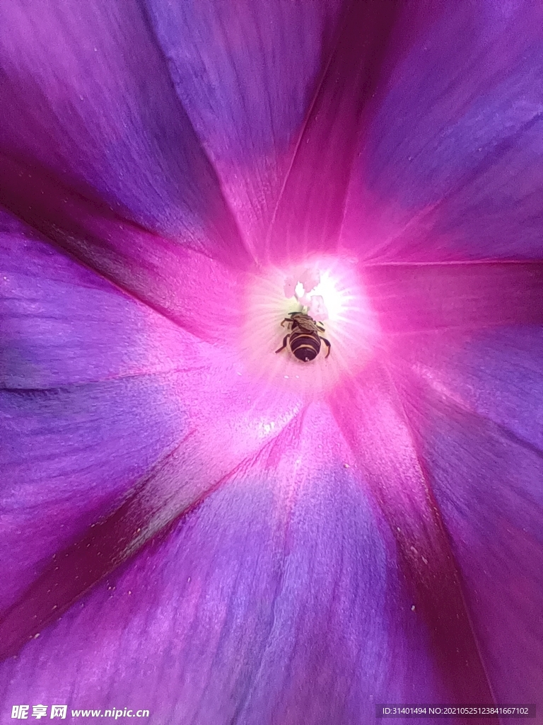 花房