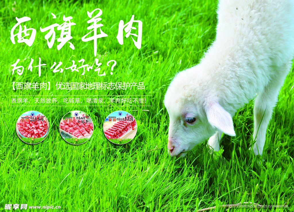 西旗羊肉