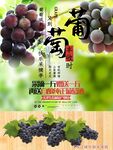 葡萄采摘季应季水果宣传海报