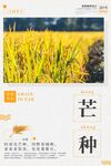 二十四节气芒种