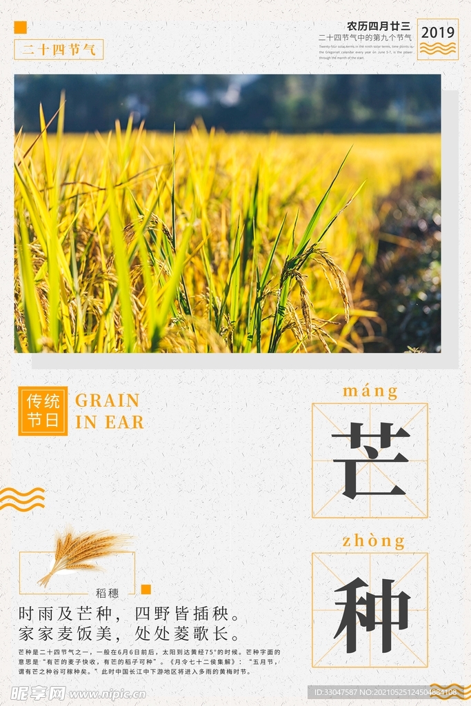 二十四节气芒种
