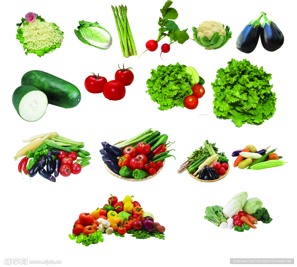 各种水果蔬菜矢量图