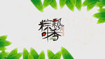 端午节海报