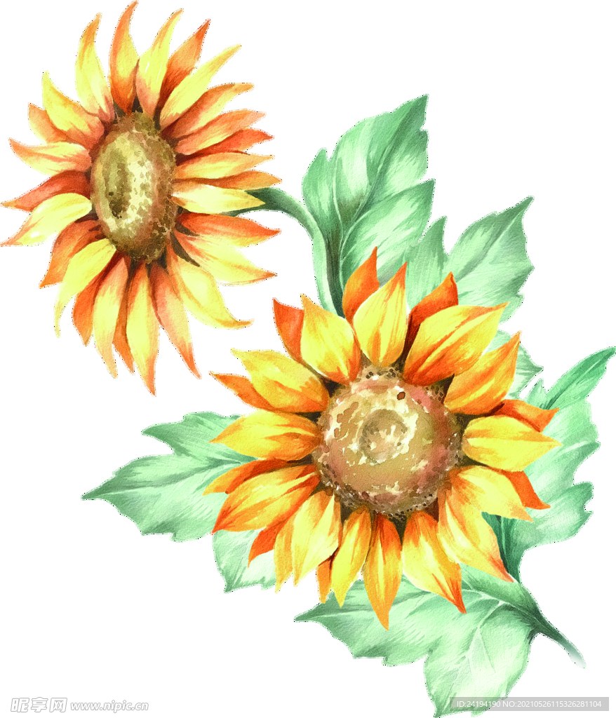 手绘花