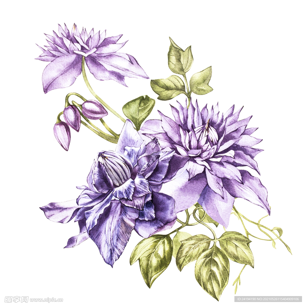 手绘花