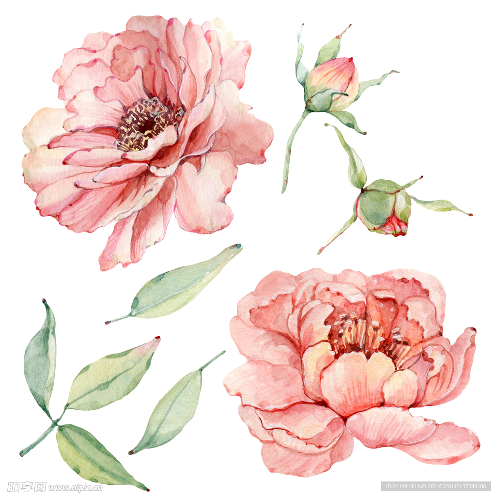 手绘花