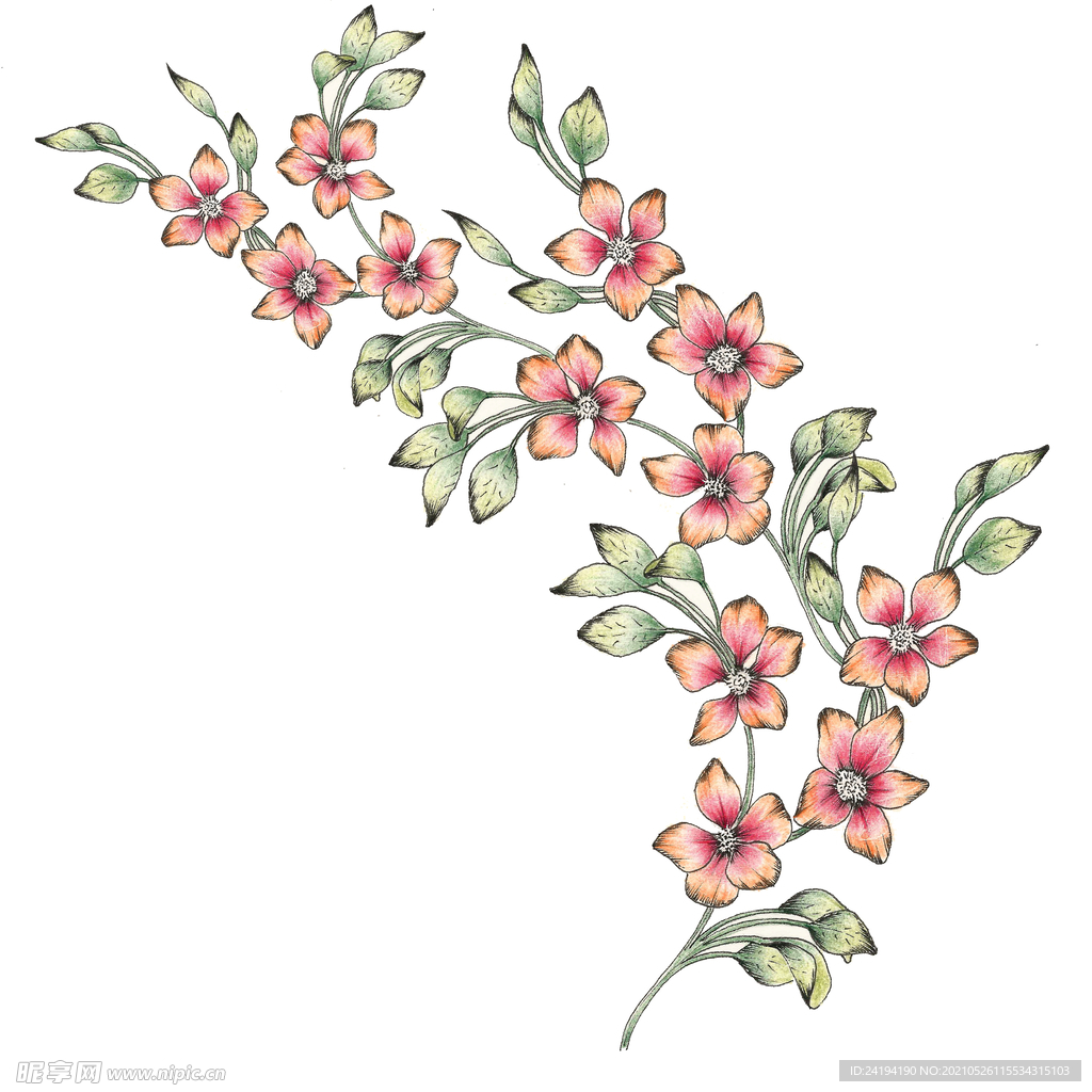 手绘花