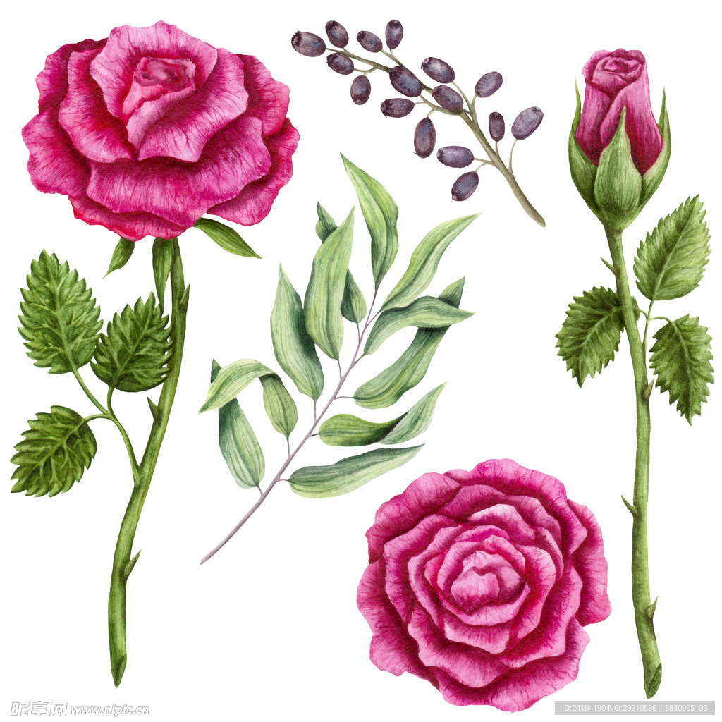 手绘花