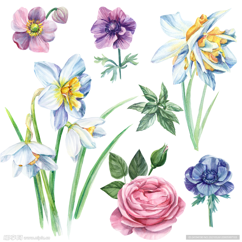 手绘花