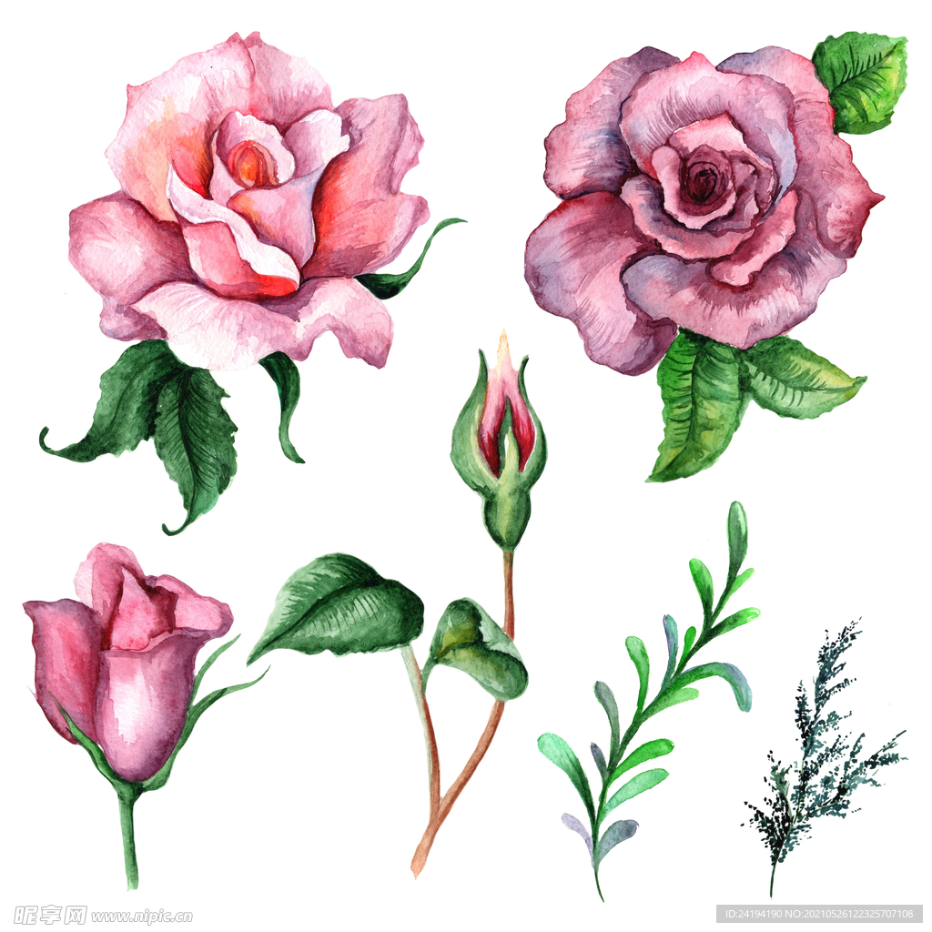手绘花