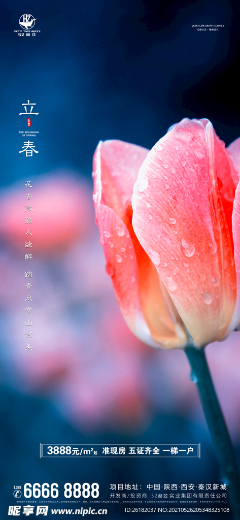立春海报