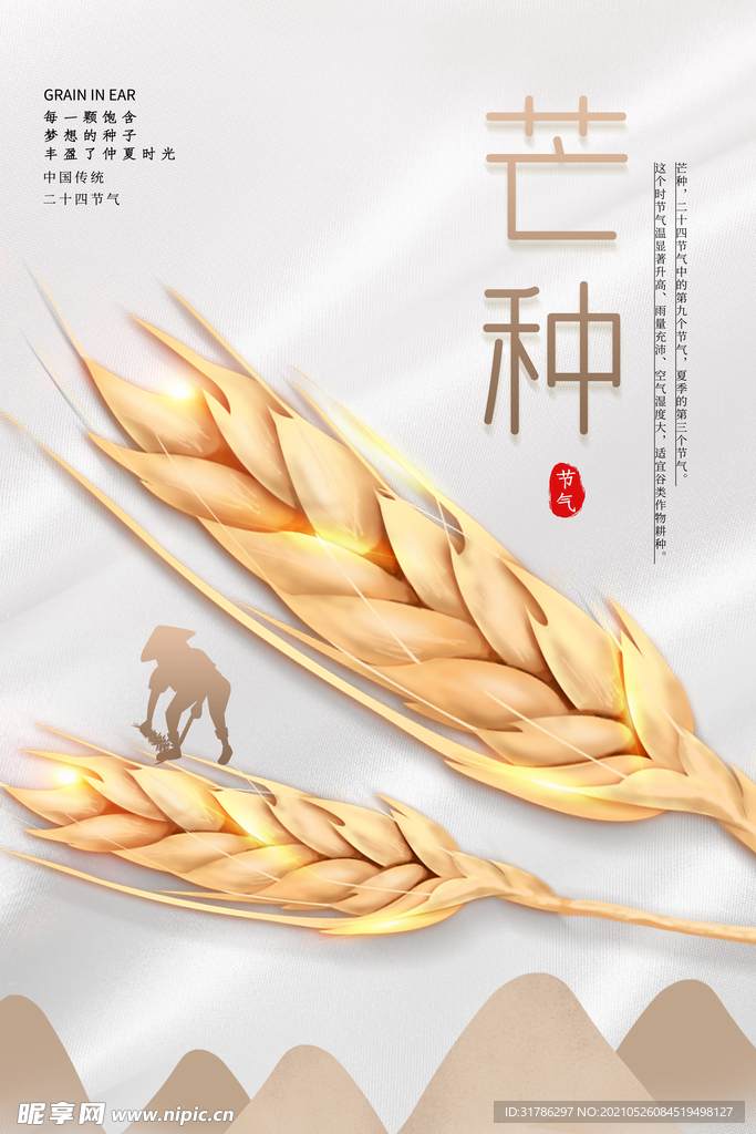 芒种