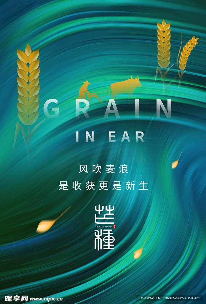 芒种