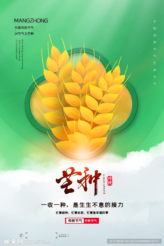 芒种