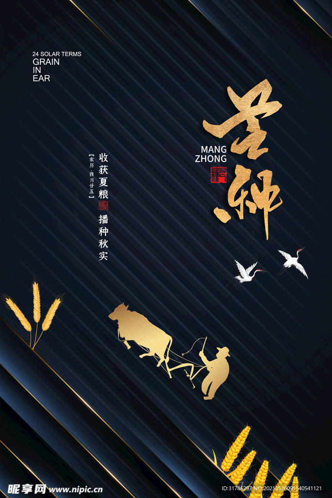 芒种