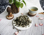 月光白茶