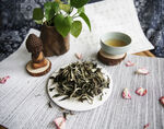 月光白茶