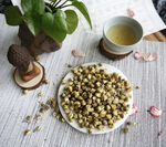 胎菊