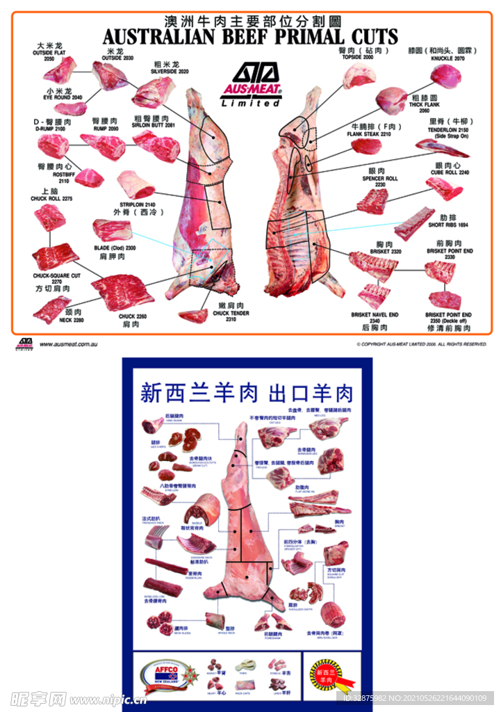 牛肉分割图 猪肉